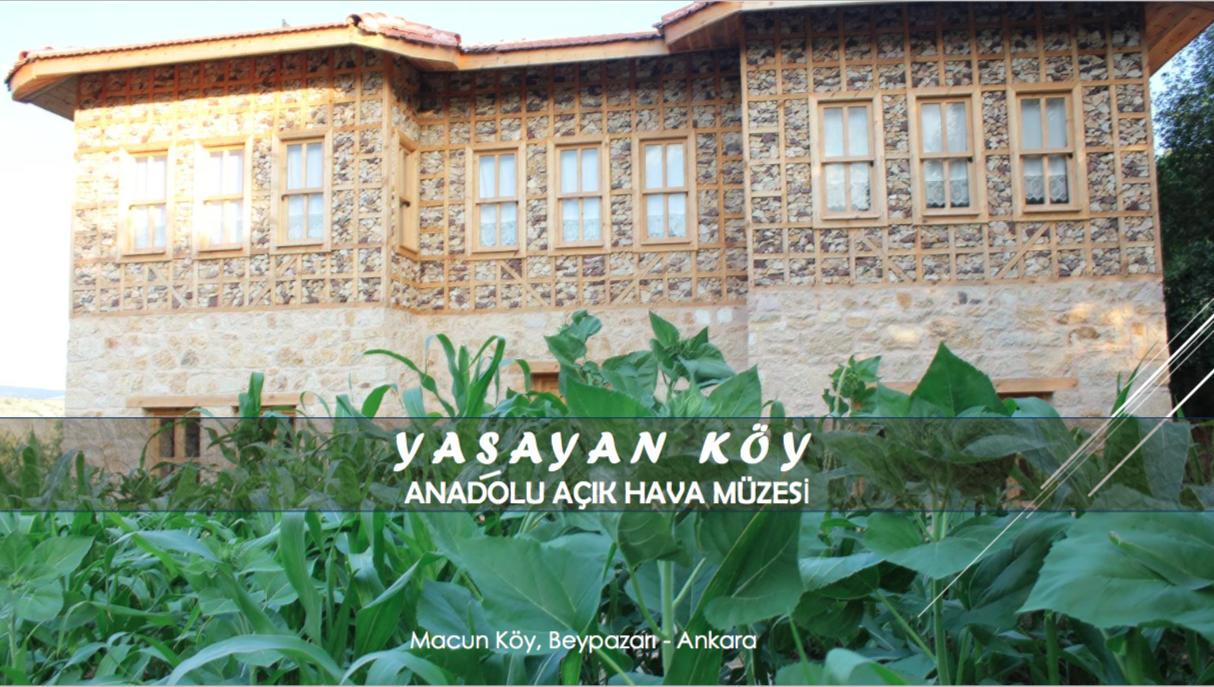 Hôtel Yasayan Koy à Kizilcasogut Extérieur photo