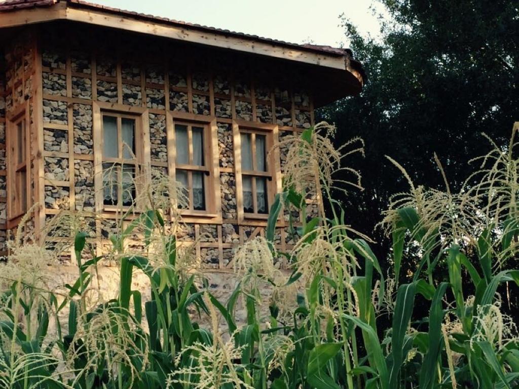 Hôtel Yasayan Koy à Kizilcasogut Extérieur photo