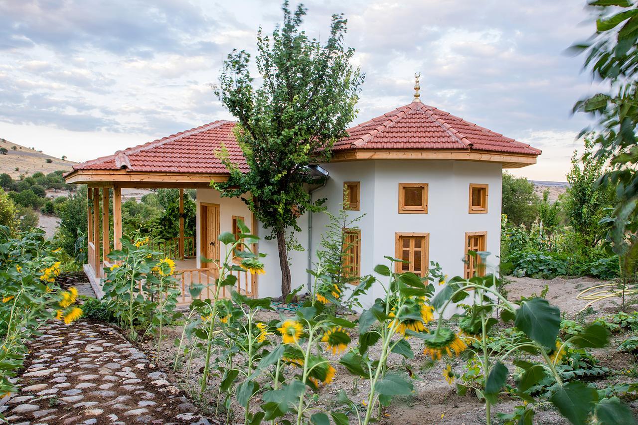 Hôtel Yasayan Koy à Kizilcasogut Extérieur photo