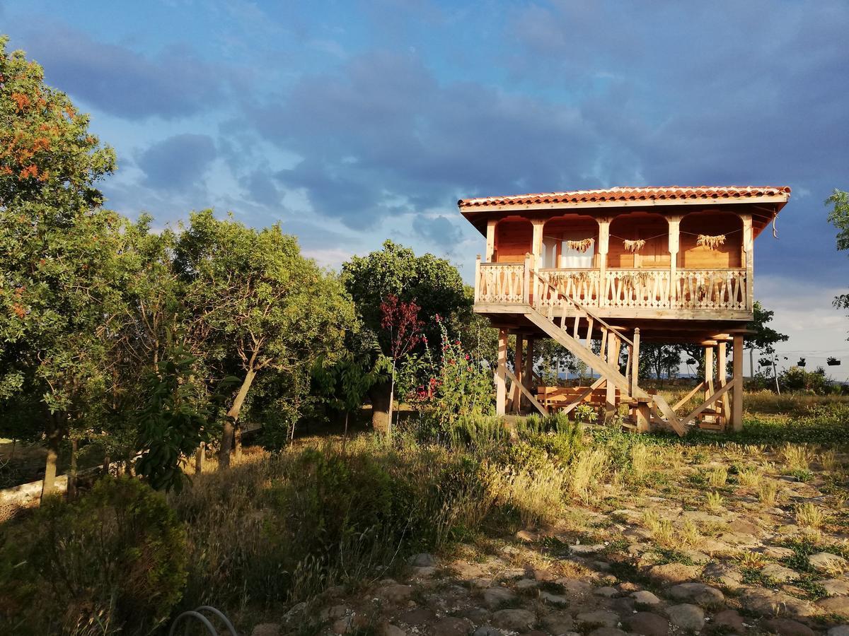 Hôtel Yasayan Koy à Kizilcasogut Extérieur photo