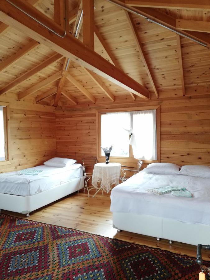 Hôtel Yasayan Koy à Kizilcasogut Extérieur photo